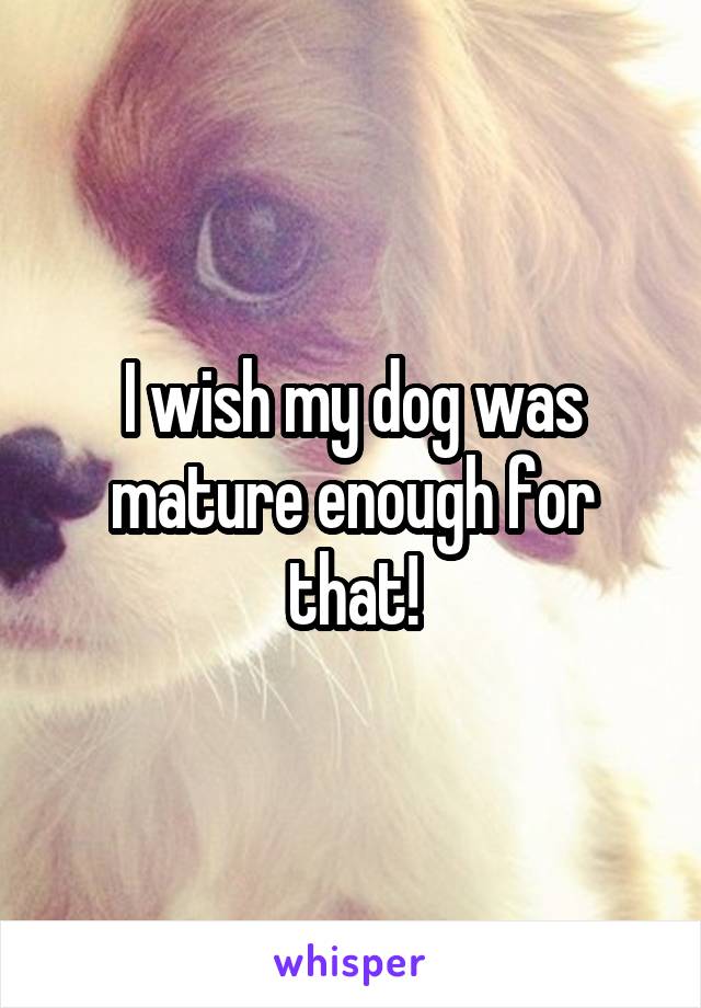 I wish my dog was mature enough for that!