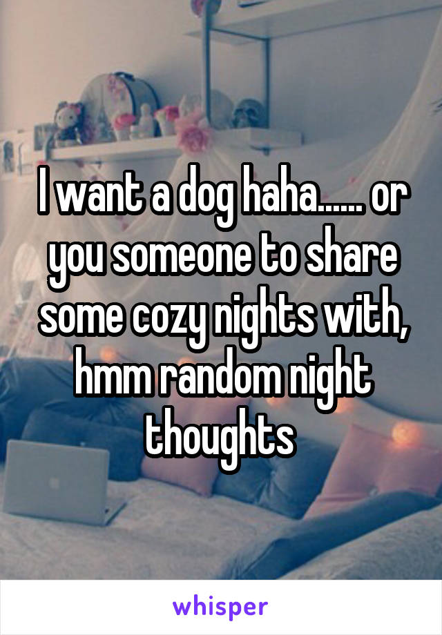 I want a dog haha...... or you someone to share some cozy nights with, hmm random night thoughts 