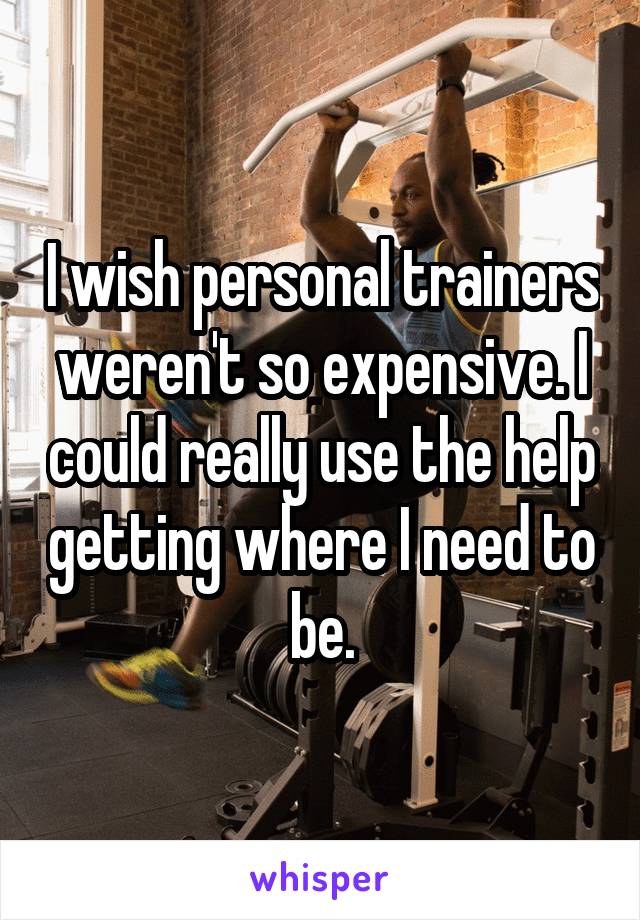 I wish personal trainers weren't so expensive. I could really use the help getting where I need to be.