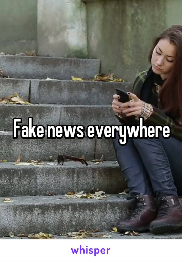 Fake news everywhere