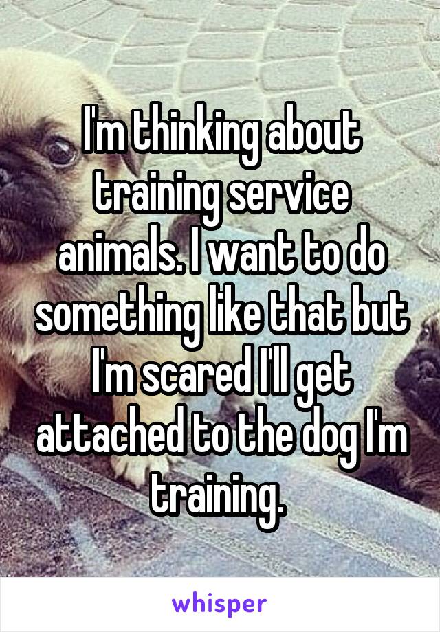 I'm thinking about training service animals. I want to do something like that but I'm scared I'll get attached to the dog I'm training. 