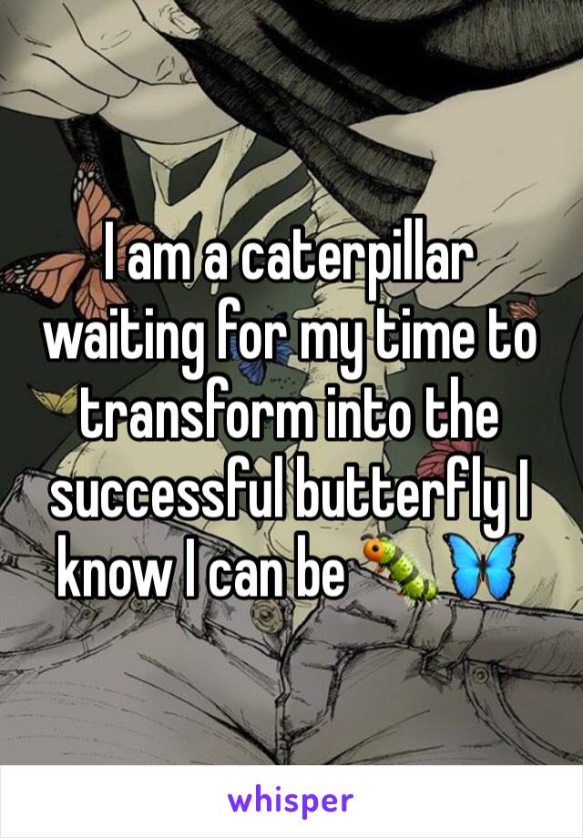 I am a caterpillar waiting for my time to transform into the successful butterfly I know I can be 🐛🦋