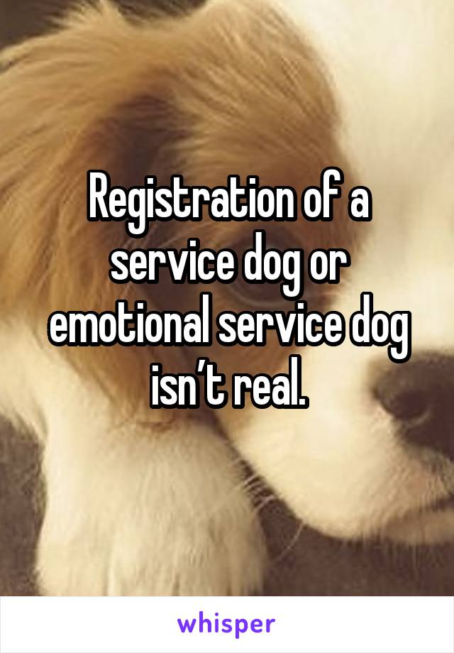 Registration of a service dog or emotional service dog isn’t real.
