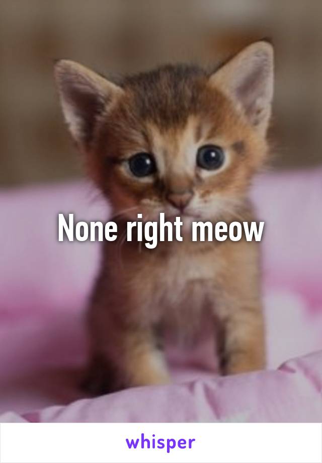 None right meow