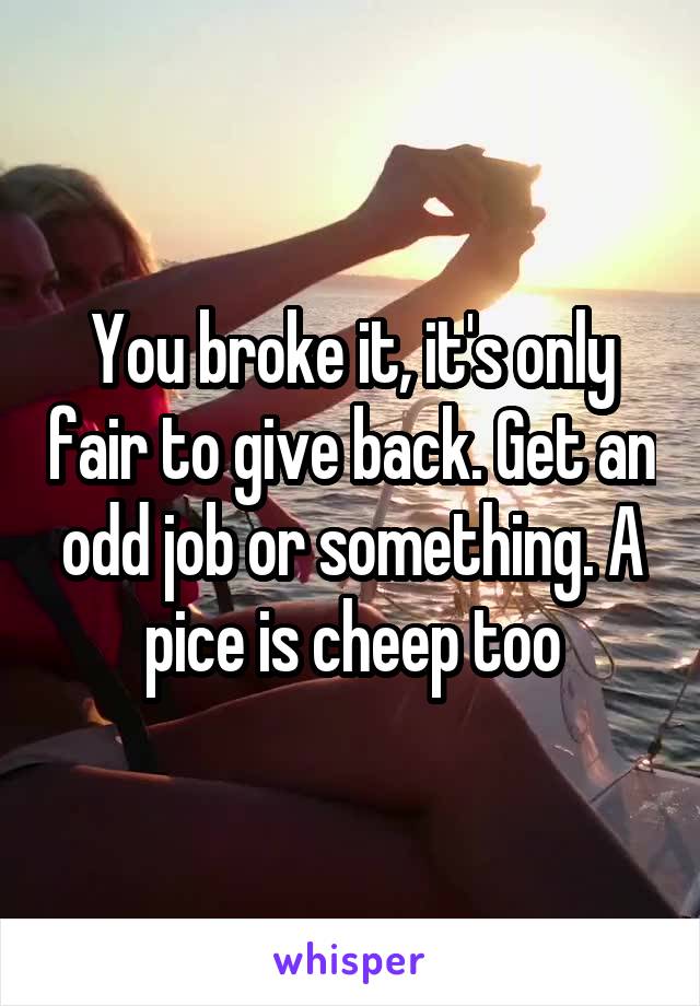 You broke it, it's only fair to give back. Get an odd job or something. A pice is cheep too