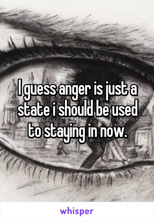 I guess anger is just a state i should be used to staying in now.