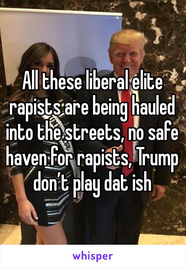 All these liberal elite rapists are being hauled into the streets, no safe haven for rapists, Trump don’t play dat ish