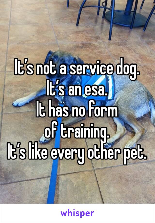 It’s not a service dog.
It’s an esa.
It has no form of training.
It’s like every other pet.