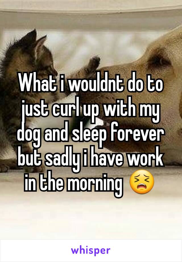 What i wouldnt do to just curl up with my dog and sleep forever but sadly i have work in the morning 😣