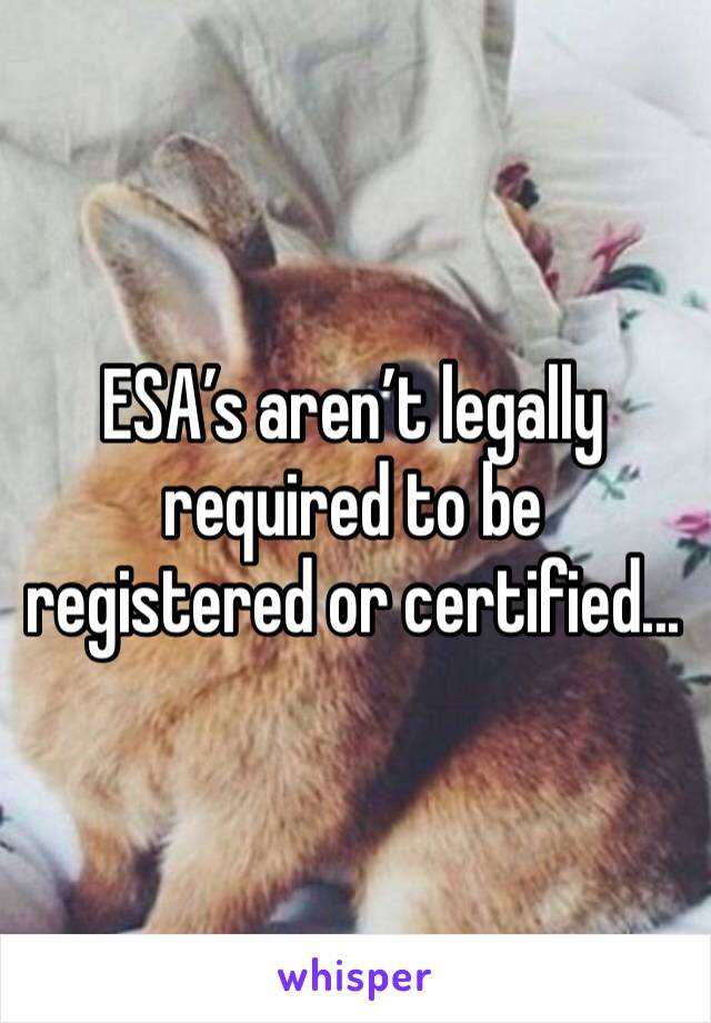 ESA’s aren’t legally required to be registered or certified...