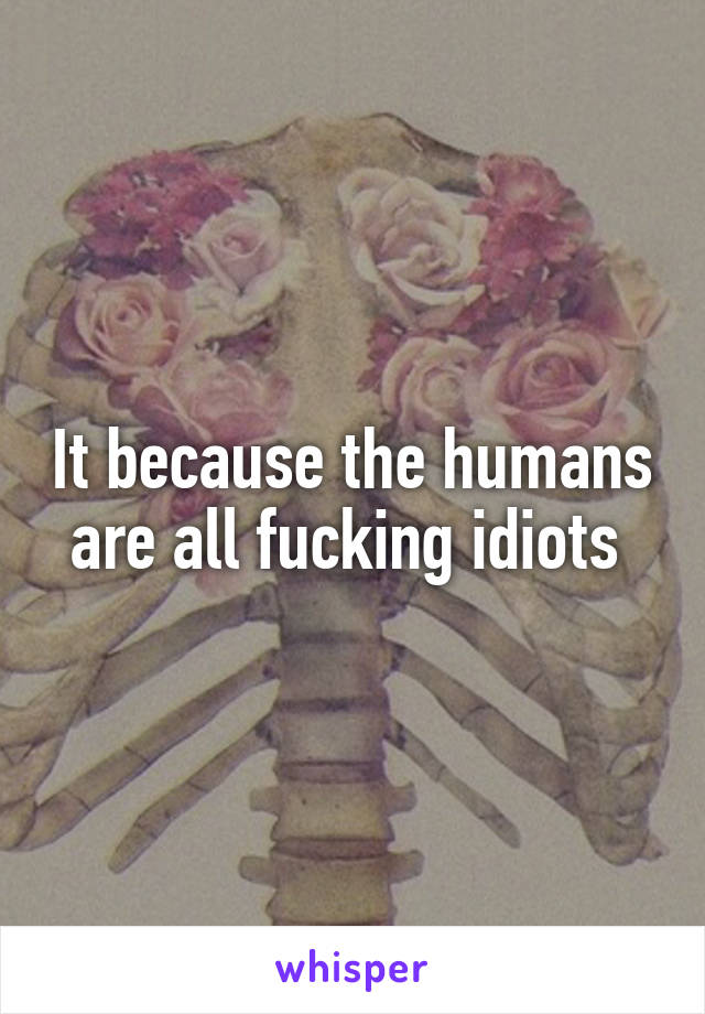 It because the humans are all fucking idiots 