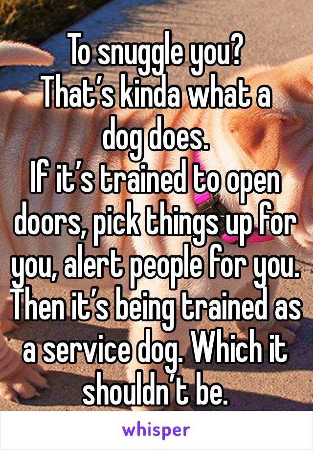 To snuggle you?
That’s kinda what a dog does.
If it’s trained to open doors, pick things up for you, alert people for you. Then it’s being trained as a service dog. Which it shouldn’t be.