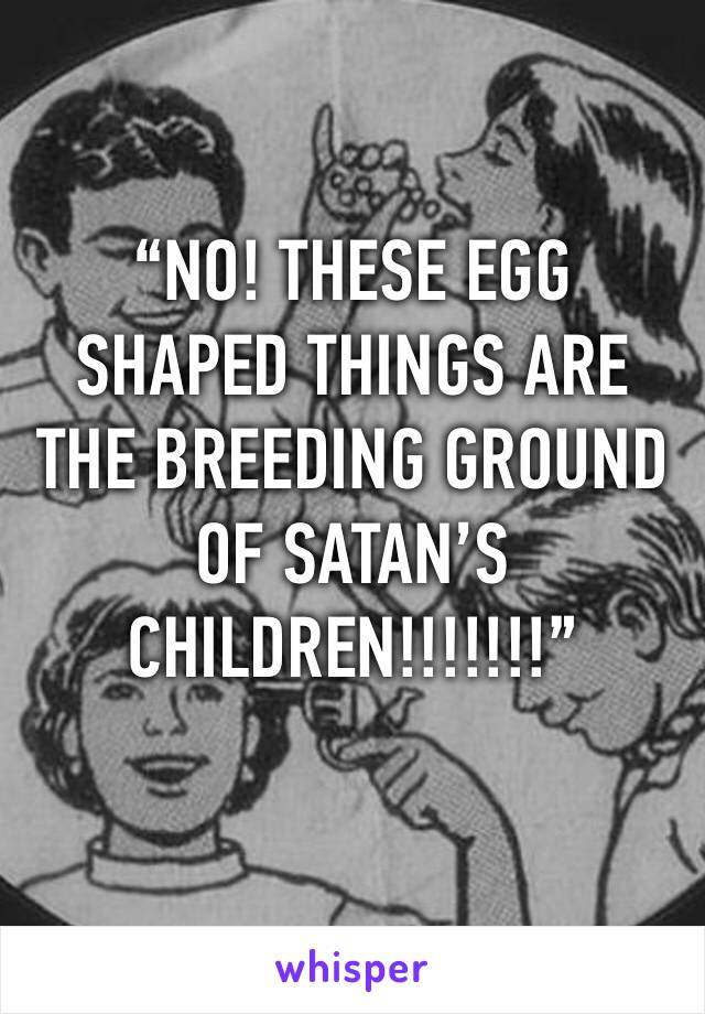 “NO! THESE EGG SHAPED THINGS ARE THE BREEDING GROUND OF SATAN’S CHILDREN!!!!!!!”