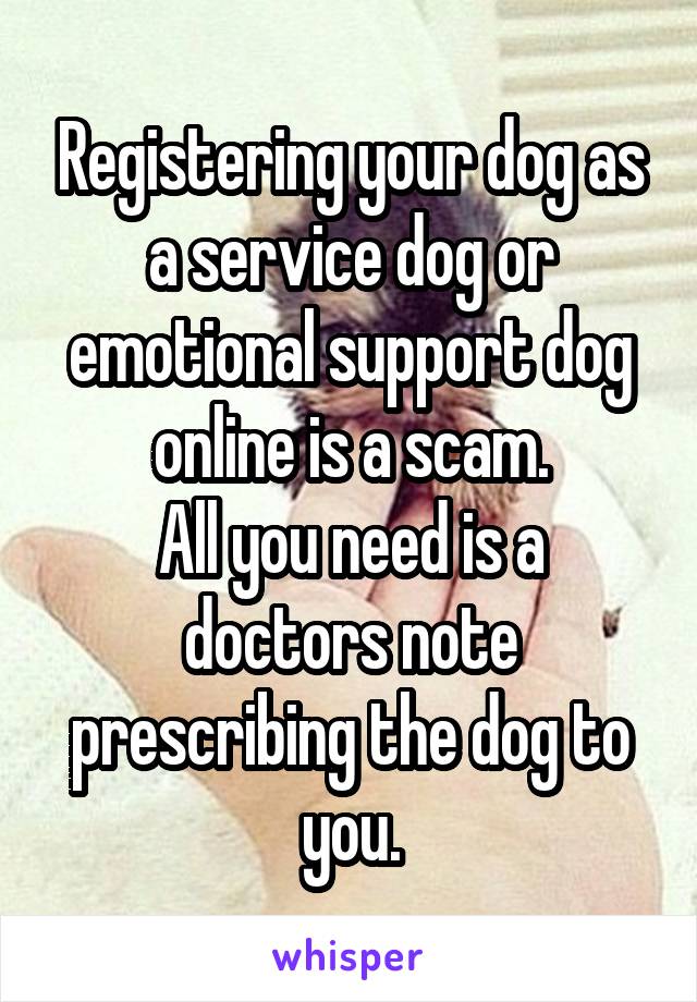 Registering your dog as a service dog or emotional support dog online is a scam.
All you need is a doctors note prescribing the dog to you.