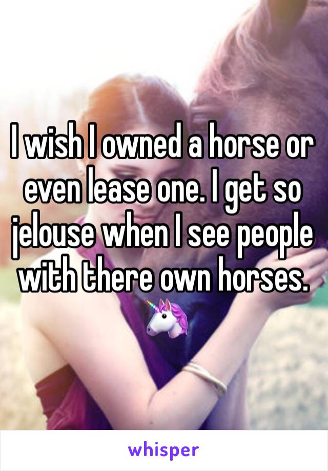 I wish I owned a horse or even lease one. I get so jelouse when I see people with there own horses. 
🦄