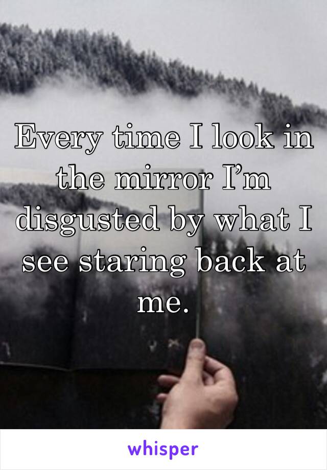 Every time I look in the mirror I’m disgusted by what I see staring back at me.