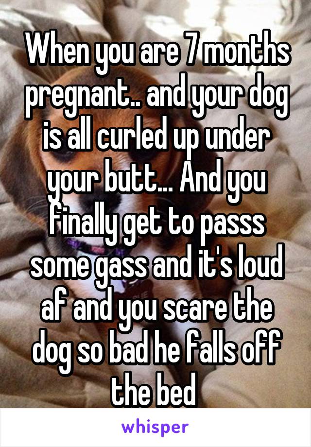 When you are 7 months pregnant.. and your dog is all curled up under your butt... And you finally get to passs some gass and it's loud af and you scare the dog so bad he falls off the bed 