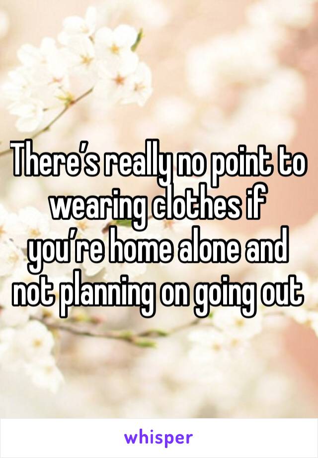 There’s really no point to wearing clothes if you’re home alone and not planning on going out 