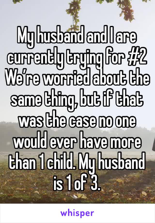 My husband and I are currently trying for #2 
We’re worried about the same thing, but if that was the case no one would ever have more than 1 child. My husband is 1 of 3. 