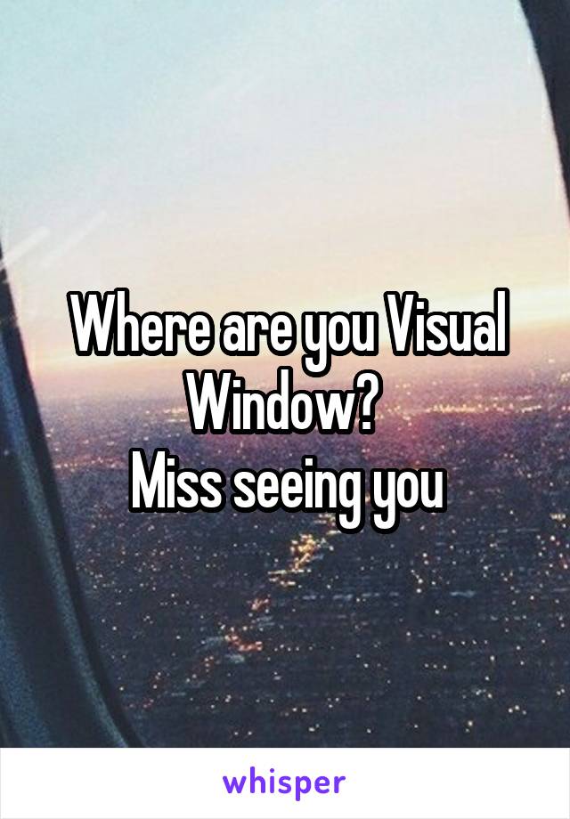 Where are you Visual Window? 
Miss seeing you