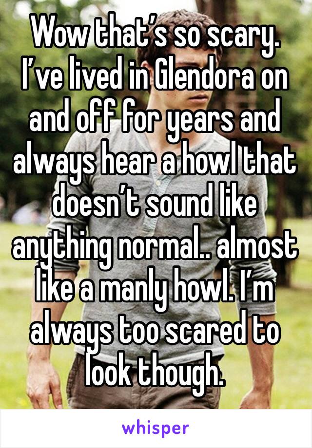 Wow that’s so scary. I’ve lived in Glendora on and off for years and always hear a howl that doesn’t sound like anything normal.. almost like a manly howl. I’m always too scared to look though. 