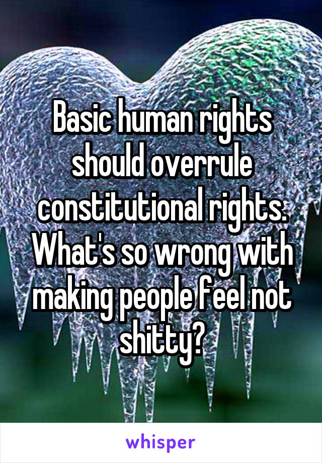 Basic human rights should overrule constitutional rights. What's so wrong with making people feel not shitty?