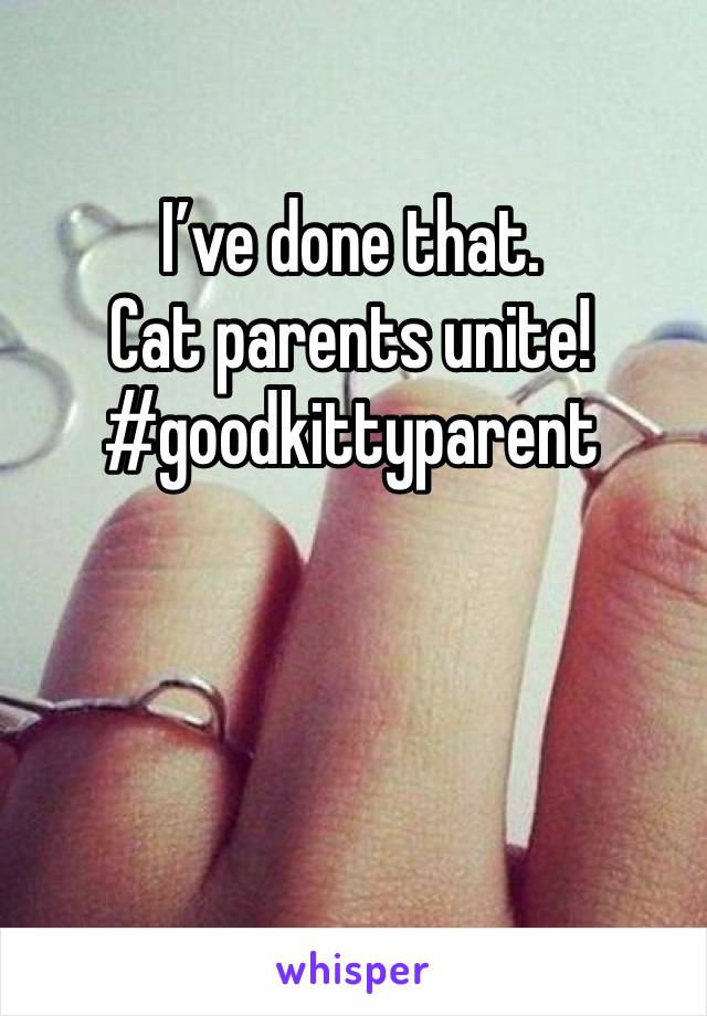 I’ve done that. 
Cat parents unite! 
#goodkittyparent