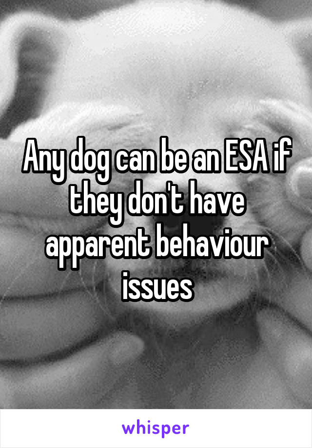 Any dog can be an ESA if they don't have apparent behaviour issues