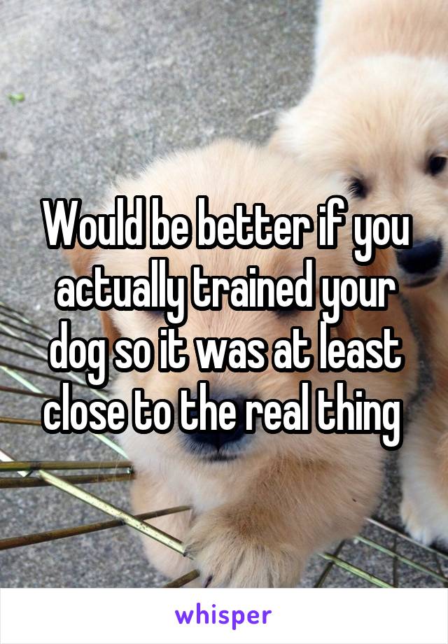 Would be better if you actually trained your dog so it was at least close to the real thing 