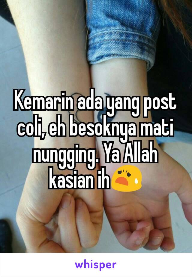 Kemarin ada yang post coli, eh besoknya mati nungging. Ya Allah kasian ih😧