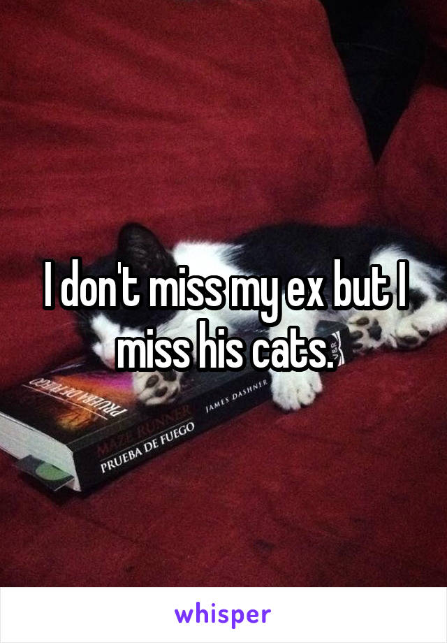 I don't miss my ex but I miss his cats.