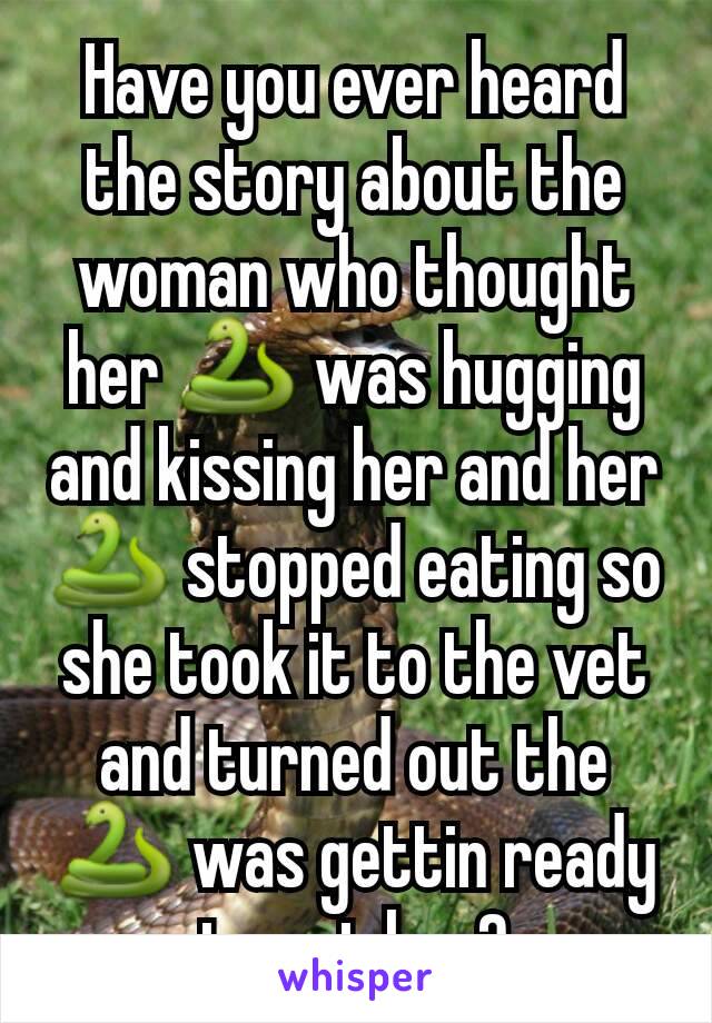 Have you ever heard the story about the woman who thought her 🐍 was hugging and kissing her and her 🐍 stopped eating so she took it to the vet and turned out the 🐍 was gettin ready to eat her?