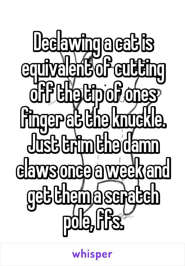 Declawing a cat is equivalent of cutting off the tip of ones finger at the knuckle. Just trim the damn claws once a week and get them a scratch pole, ffs.