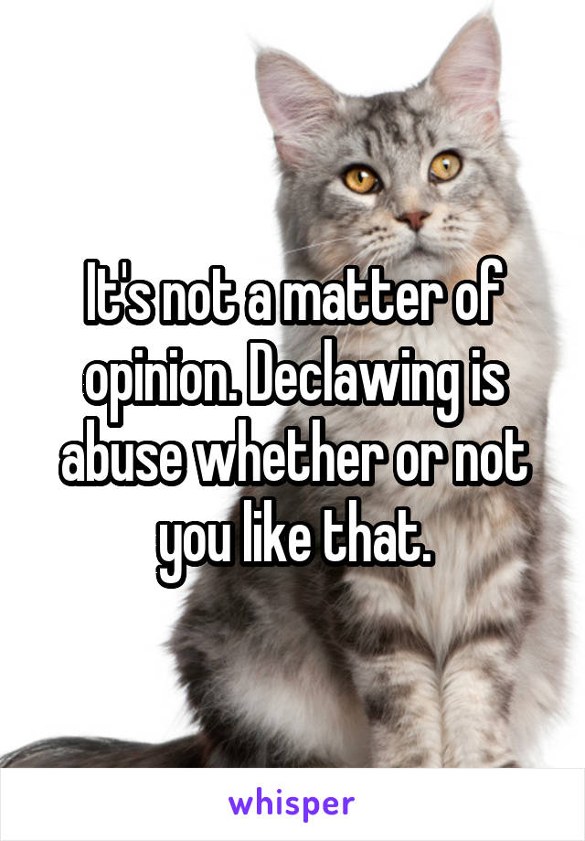 It's not a matter of opinion. Declawing is abuse whether or not you like that.