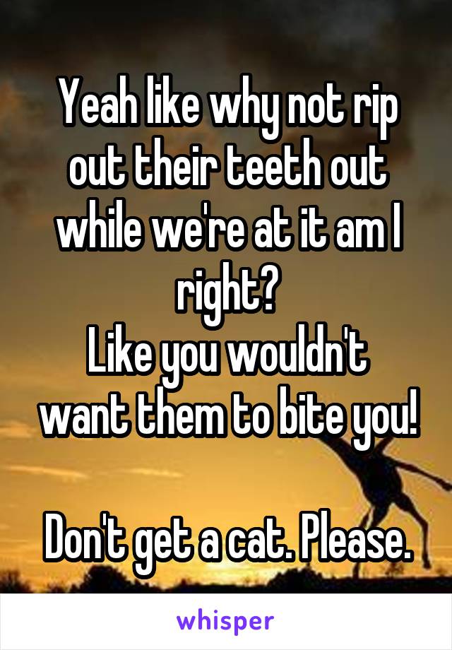 Yeah like why not rip out their teeth out while we're at it am I right?
Like you wouldn't want them to bite you!

Don't get a cat. Please.