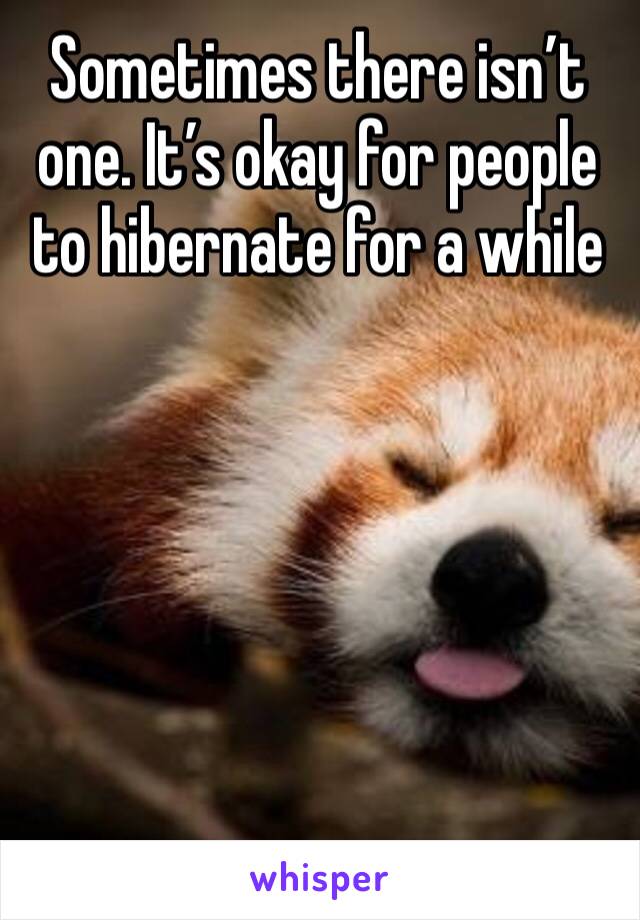 Sometimes there isn’t one. It’s okay for people to hibernate for a while 