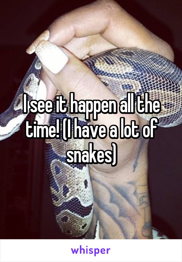 I see it happen all the time! (I have a lot of snakes)
