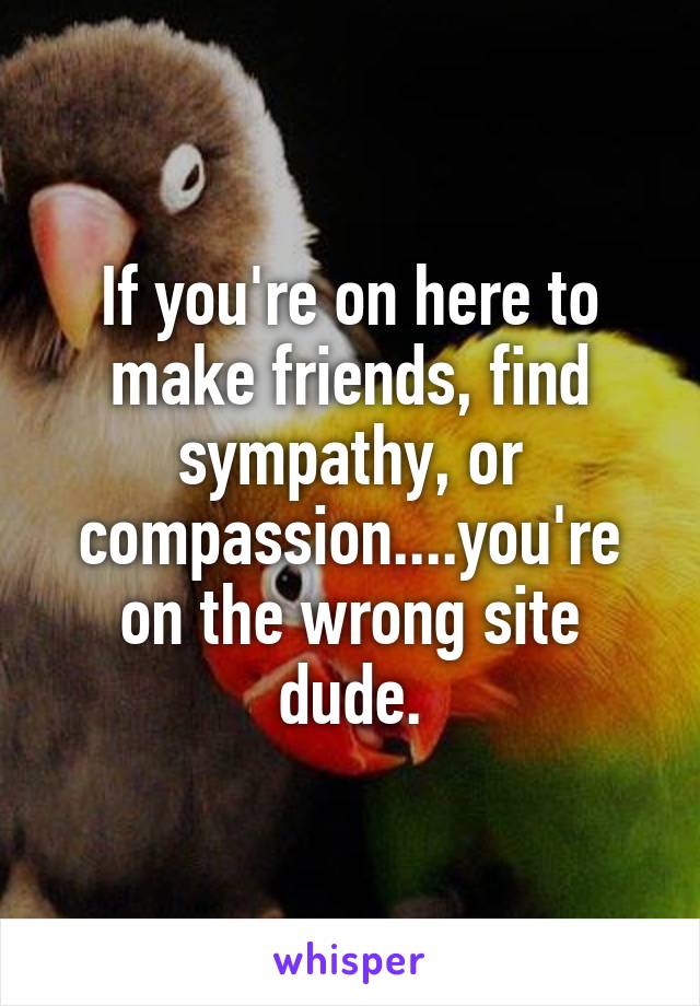 If you're on here to make friends, find sympathy, or compassion....you're on the wrong site dude.