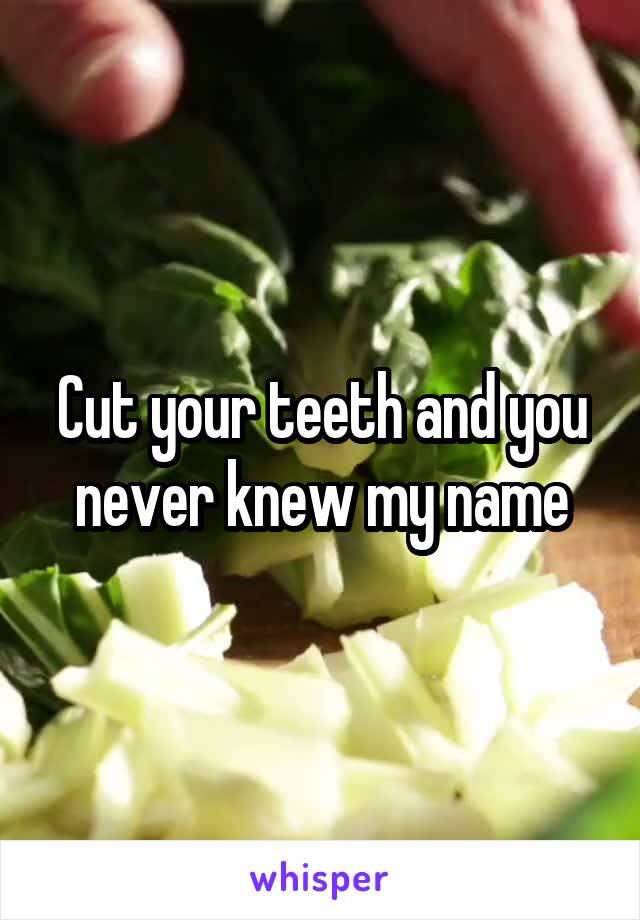 Cut your teeth and you never knew my name