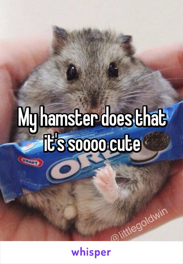 My hamster does that it's soooo cute