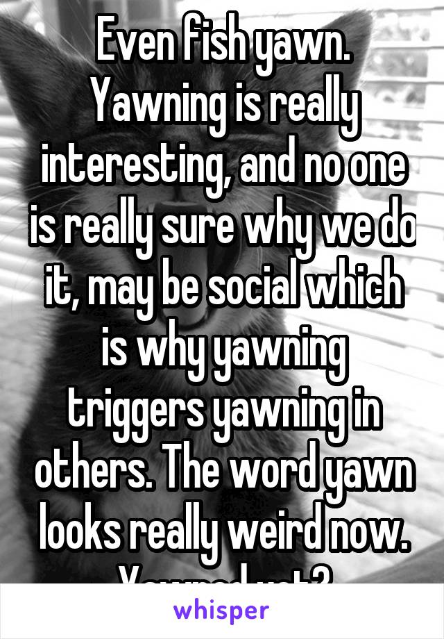 Even fish yawn. Yawning is really interesting, and no one is really sure why we do it, may be social which is why yawning triggers yawning in others. The word yawn looks really weird now. Yawned yet?