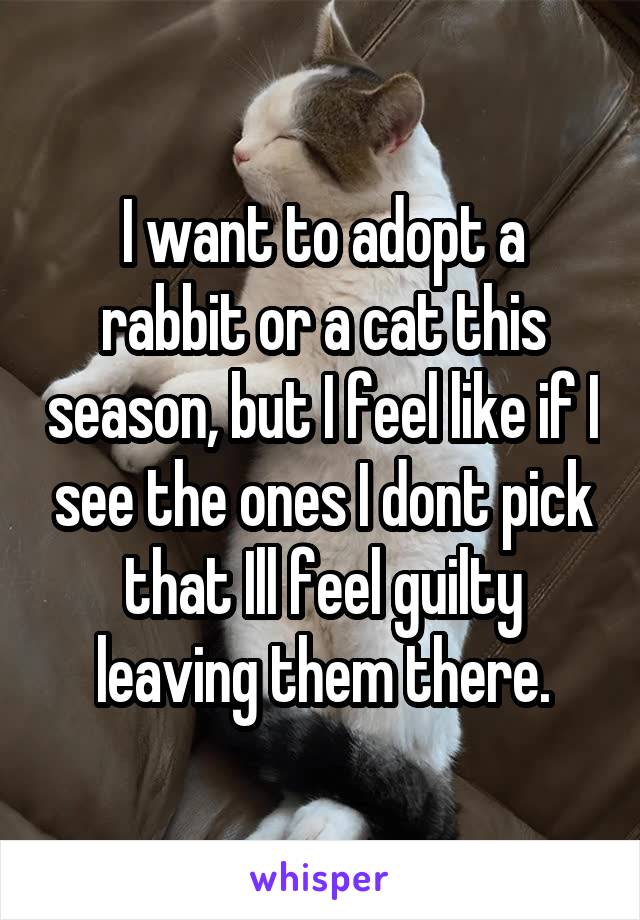 I want to adopt a rabbit or a cat this season, but I feel like if I see the ones I dont pick that Ill feel guilty leaving them there.