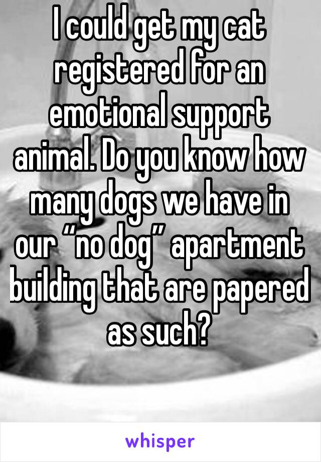 I could get my cat registered for an emotional support animal. Do you know how many dogs we have in our “no dog” apartment building that are papered as such?
