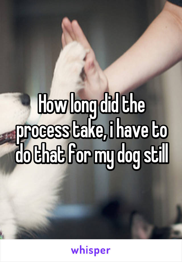 How long did the process take, i have to do that for my dog still