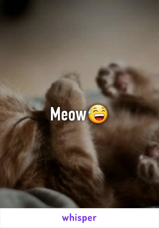 Meow😅