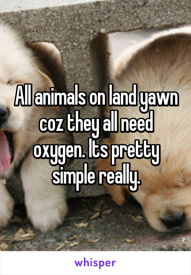 All animals on land yawn coz they all need oxygen. Its pretty simple really.