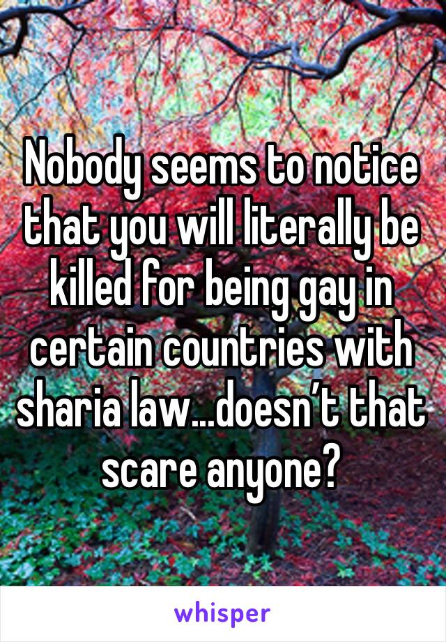 Nobody seems to notice that you will literally be killed for being gay in certain countries with sharia law...doesn’t that scare anyone?