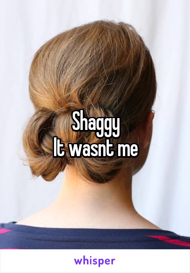 Shaggy
It wasnt me