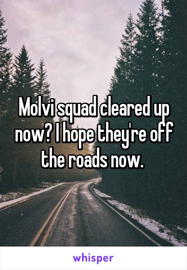 Molvi squad cleared up now? I hope they're off the roads now. 