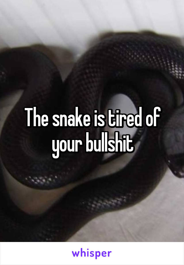 The snake is tired of your bullshit